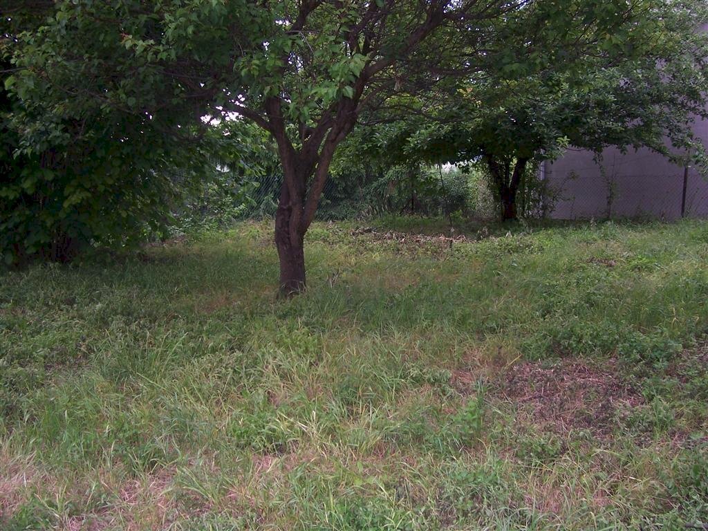 Casa indipendente Asti - foto 2