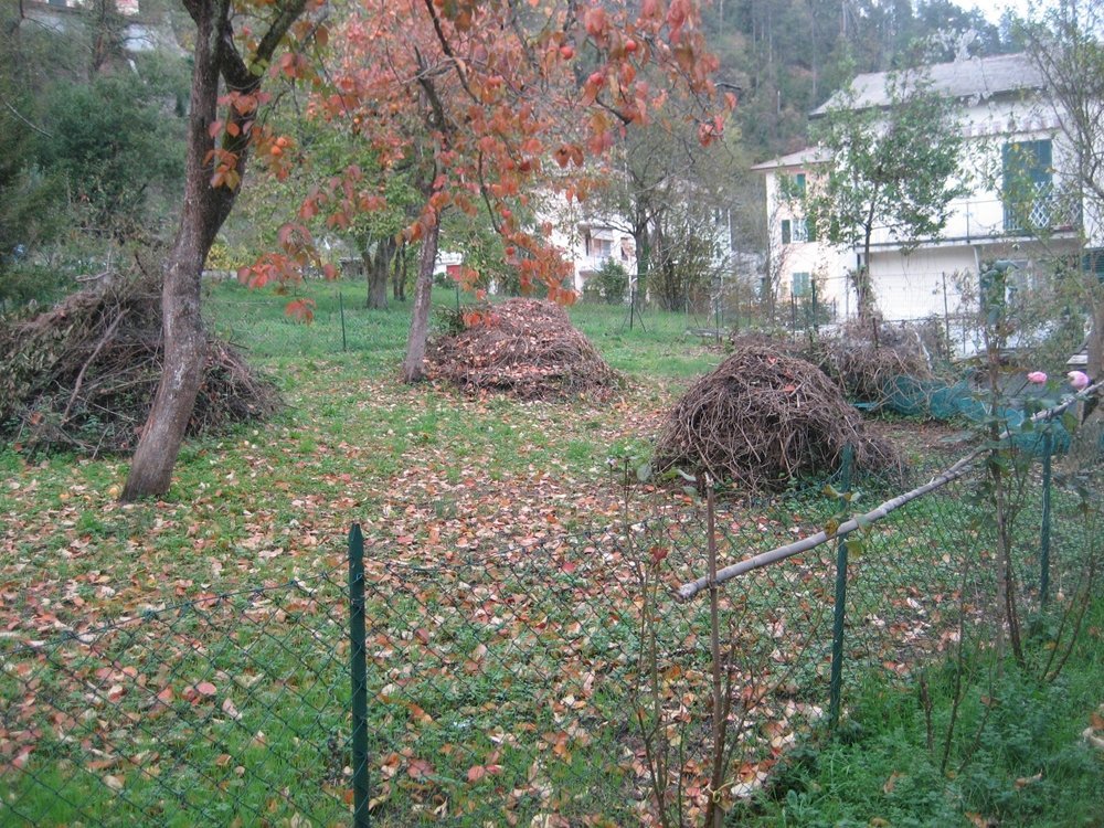 Building land Cicagna - photo 1