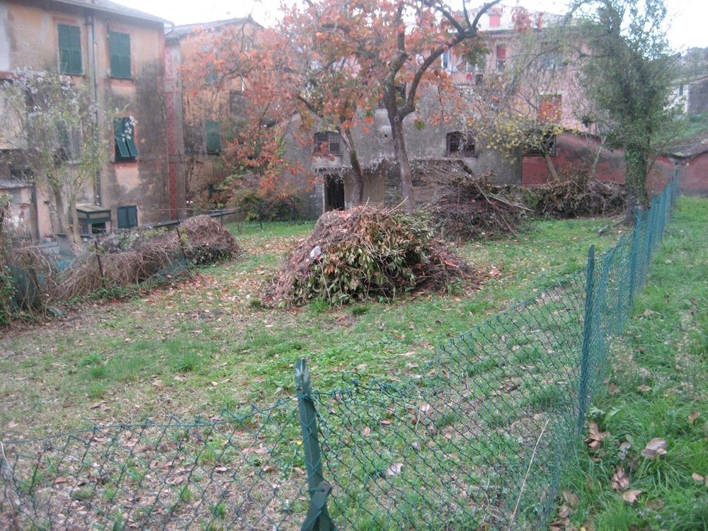 Building land Cicagna - photo 3