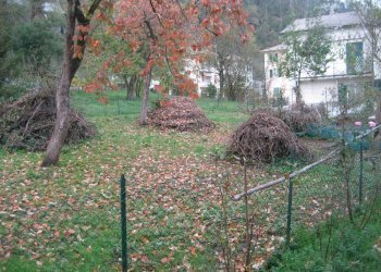 Terreno edificabile Cicagna - foto 1