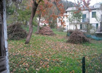 Terreno edificabile Cicagna - foto 6