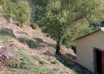 Rustico Sestri Levante - foto 10