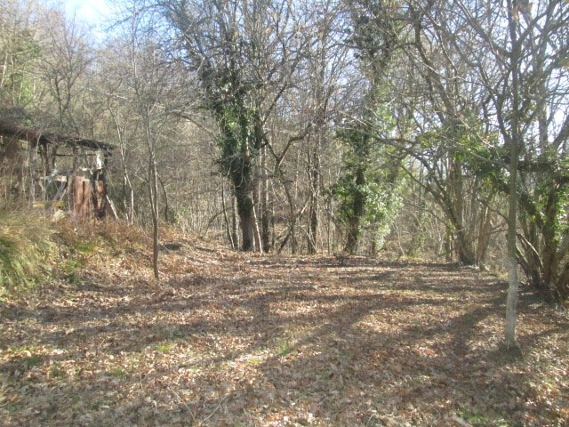 Rustico Lumarzo - foto 2