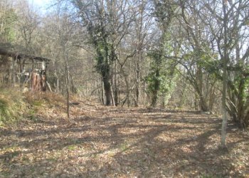 Rustico Lumarzo - foto 2