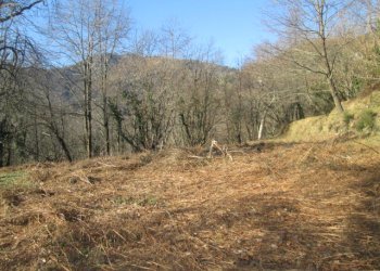 Rustico Lumarzo - foto 4