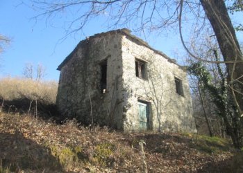 Rustico Lumarzo - foto 5