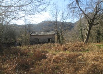Rustico Lumarzo - foto 7