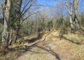 Rustico Lumarzo - foto 9