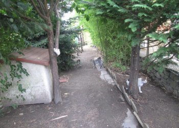 Apartment Ronco Scrivia - photo 20