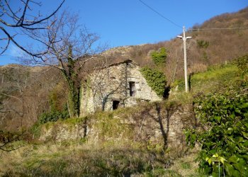 Rustico Rapallo - foto 3