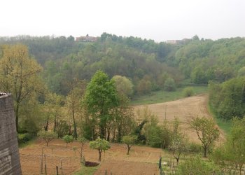 Independent house Altavilla Monferrato - photo 17