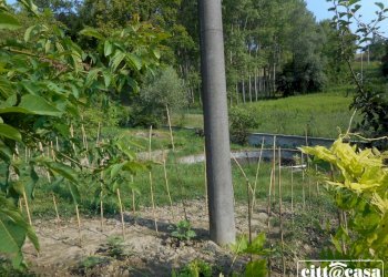 Villa Casalborgone - foto 35