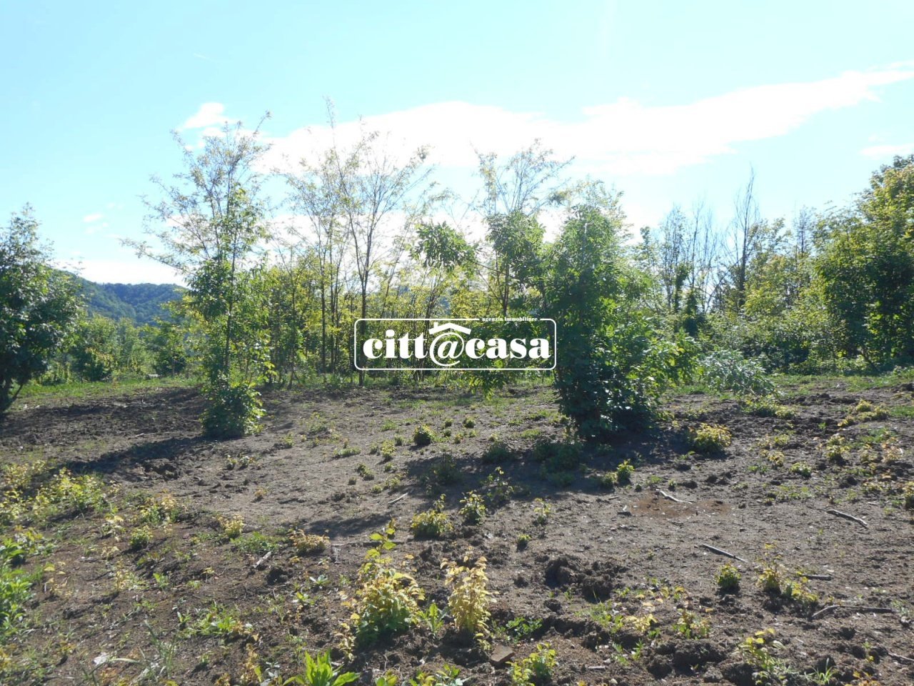 Terreno agricolo Cavagnolo - foto 2