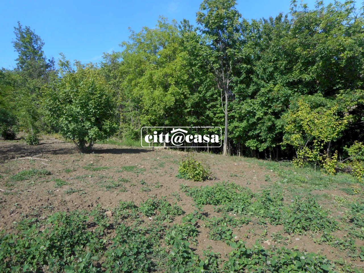 Terreno agricolo Cavagnolo - foto 3