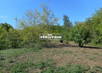 Terreno agricolo Cavagnolo - foto 1