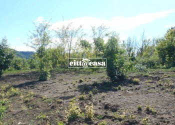 Terreno agricolo Cavagnolo - foto 2