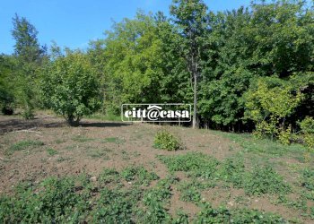 Terreno agricolo Cavagnolo - foto 3