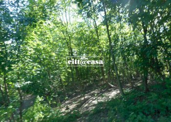 Terreno agricolo Cavagnolo - foto 4