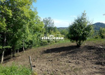 Terreno agricolo Cavagnolo - foto 5
