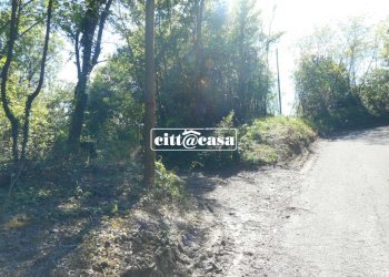 Terreno agricolo Cavagnolo - foto 6