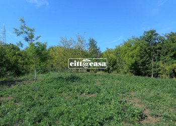 Terreno agricolo Cavagnolo - foto 9