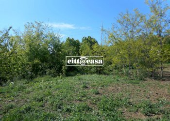 Terreno agricolo Cavagnolo - foto 10