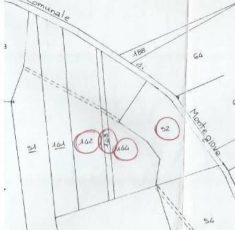 Terreno agricolo Via Sant'Isidoro, Chivasso - foto 1