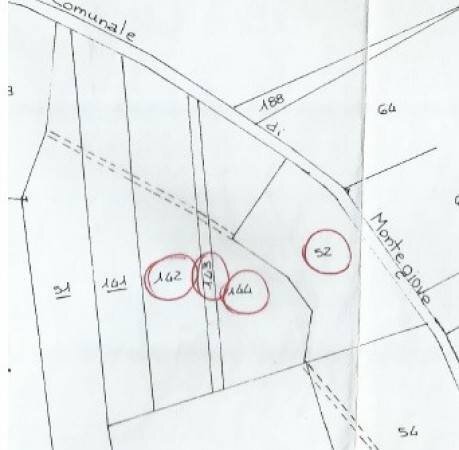 Terreno agricolo Via Sant'Isidoro, Chivasso - planimetria 1