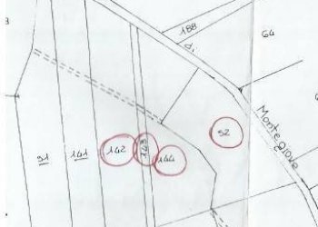 Terreno agricolo Via Sant'Isidoro, Chivasso - foto 1