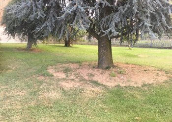 Four-room apartment Via Sant'Anna, 2, Bagnolo Piemonte - photo 16