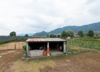 Casa indipendente Via Madonna delle Grazie , 10, Envie - foto 43
