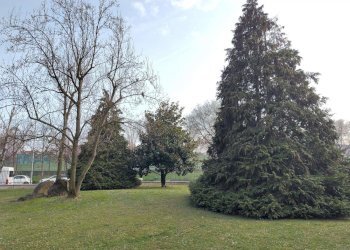 Bilocale Via Saragat, Venaria Reale - foto 32