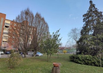 Bilocale Via Saragat, Venaria Reale - foto 33