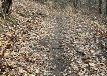 Terreno agricolo Cantalupa - foto 2