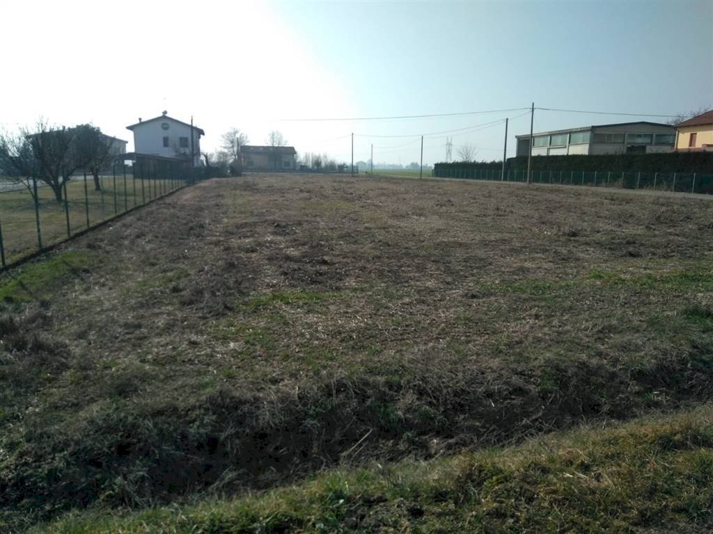 Agricultural land Sala Bolognese - photo 2