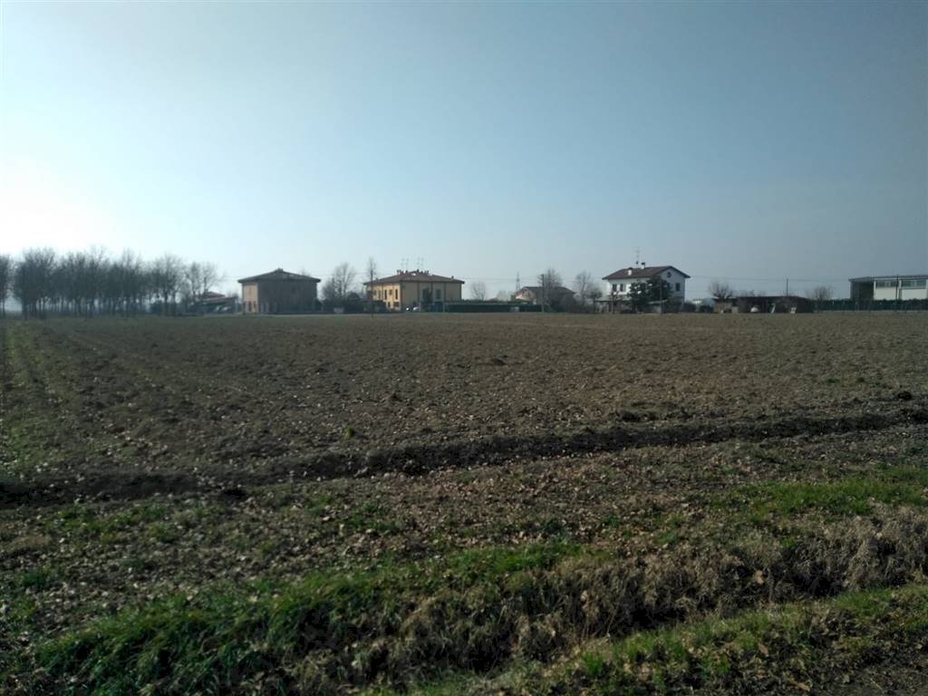 Agricultural land Sala Bolognese - photo 3