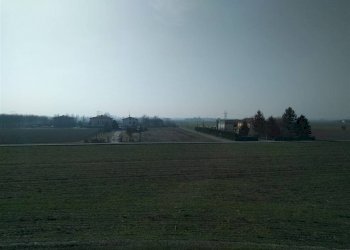 Terreno agricolo Sala Bolognese - foto 1