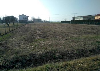 Terreno agricolo Sala Bolognese - foto 2