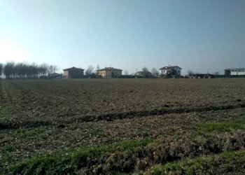 Terreno agricolo Sala Bolognese - foto 3