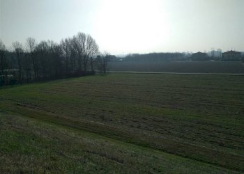 Terreno agricolo Sala Bolognese - foto 4