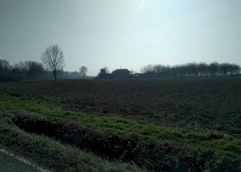 Terreno agricolo Sala Bolognese - foto 6