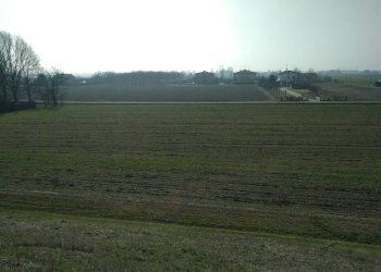 Terreno agricolo Sala Bolognese - foto 7