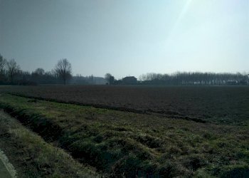 Terreno agricolo Sala Bolognese - foto 9