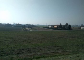 Terreno agricolo Sala Bolognese - foto 10