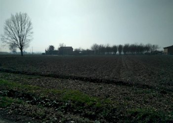 Terreno agricolo Sala Bolognese - foto 11