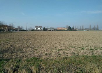 Terreno agricolo Sala Bolognese - foto 13