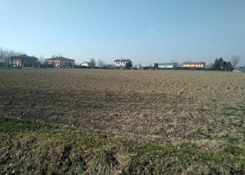 Terreno agricolo Sala Bolognese - foto 14