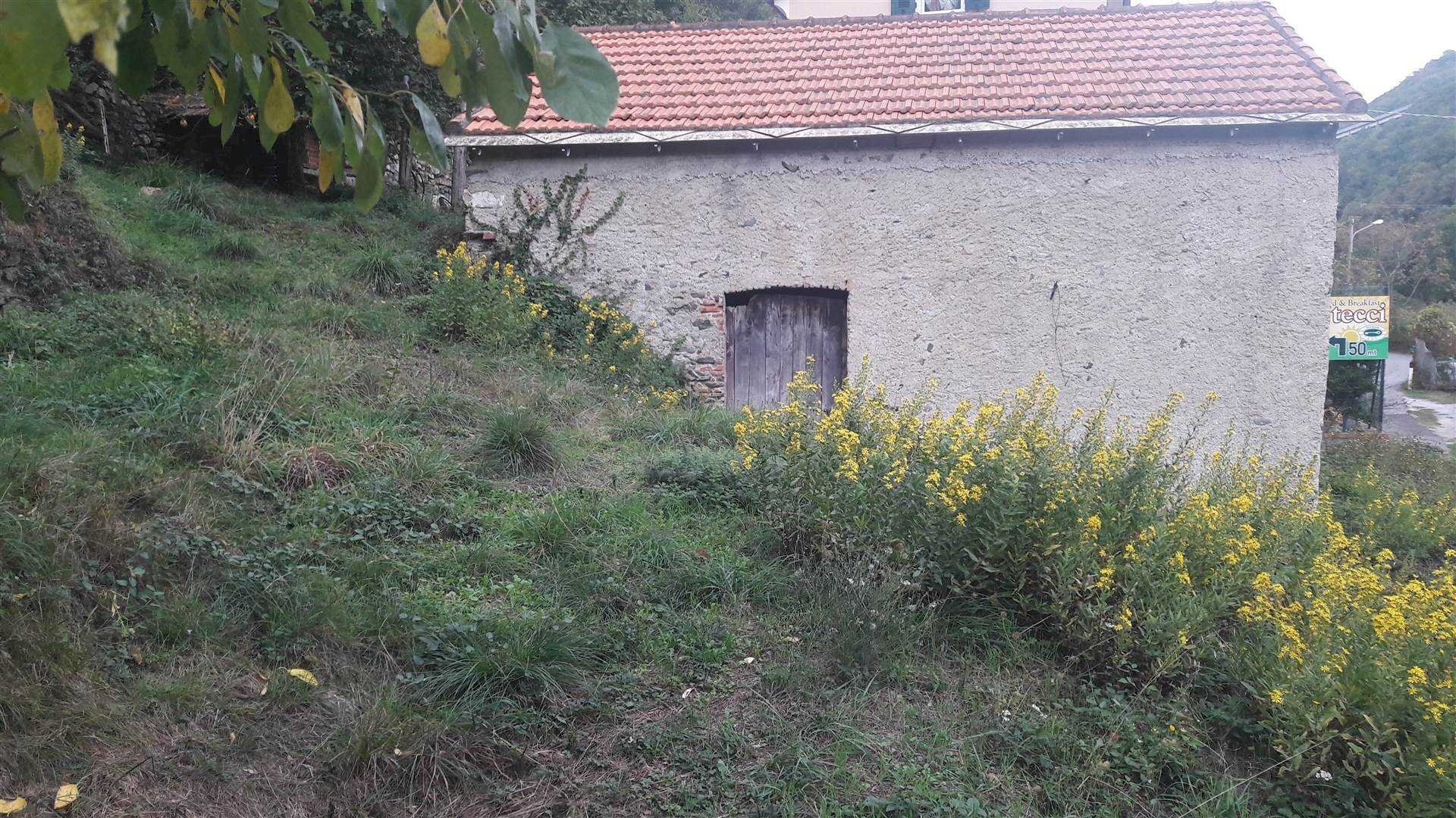 Rustico Quiliano - foto 1