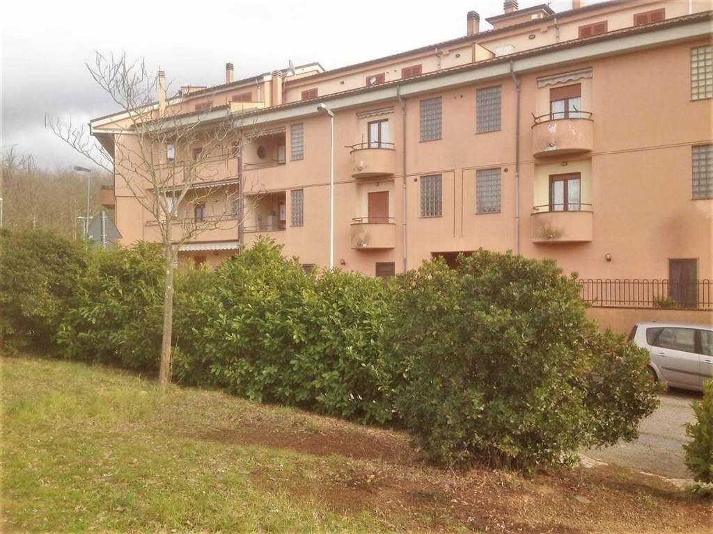 Quadrilocale -, Vetralla - foto 3