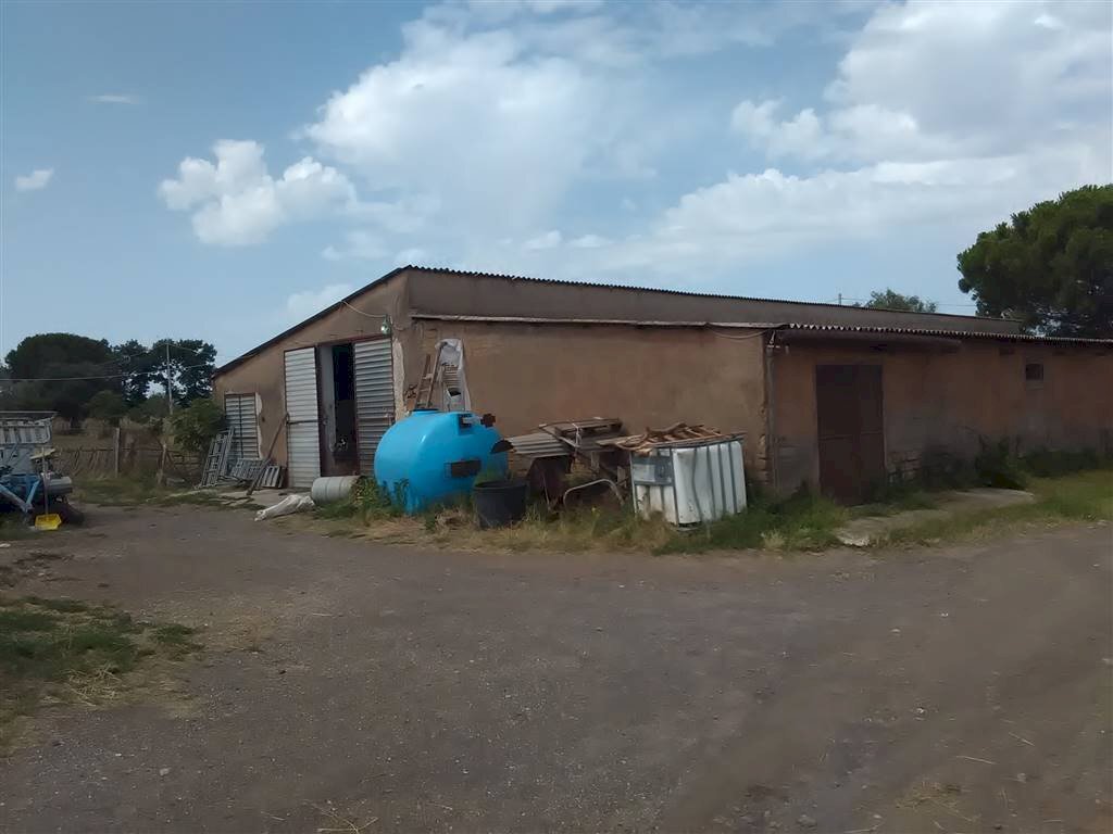 Farm -, Vetralla - photo 1